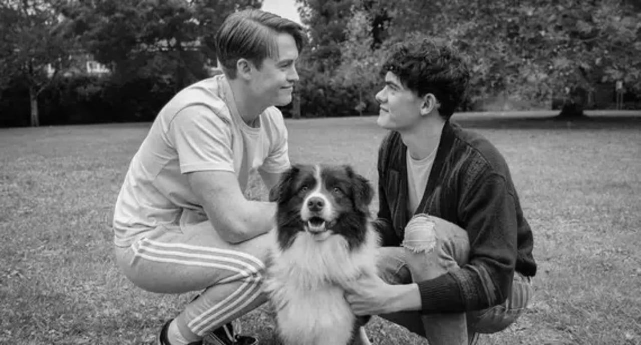 Echo, a cadela de 'Heartstopper', morre em 18 de maio
